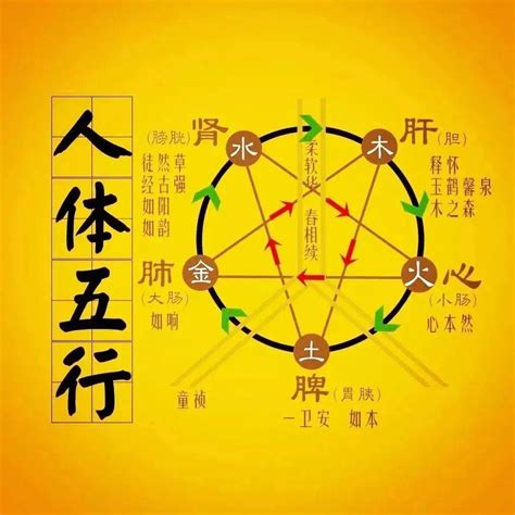 水木火土金|深度解析五行生克的关系